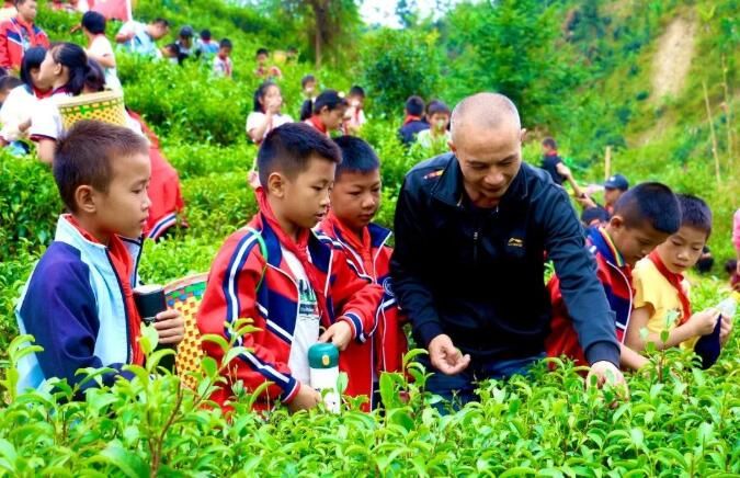 有关于广西蒙山县夏宜民族学校：“红领巾”进茶园 感受茶文化的相关内容(2)