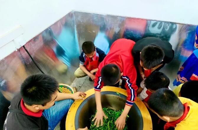 有关于广西蒙山县夏宜民族学校：“红领巾”进茶园 感受茶文化的相关内容(6)