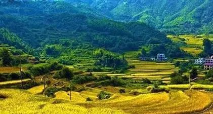 有关于文化助力乡村振兴 绘制浮梁大美画卷的最新消息(1)