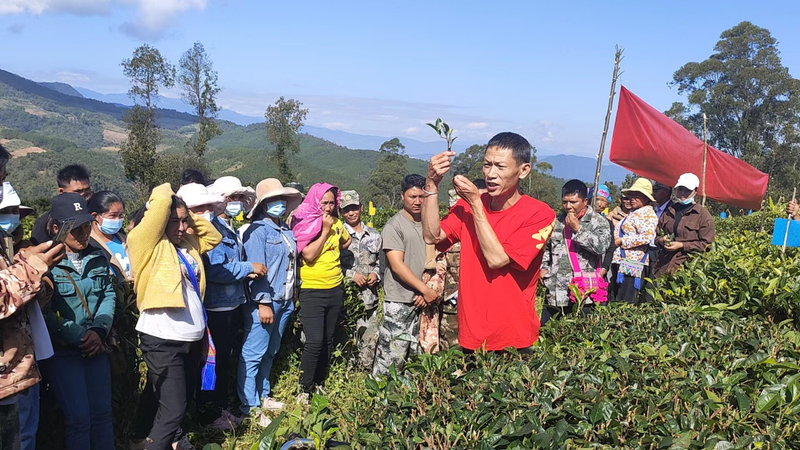 关于澜沧糯福乡：开展茶叶提质增效技能培训 为茶农“充电”的新闻