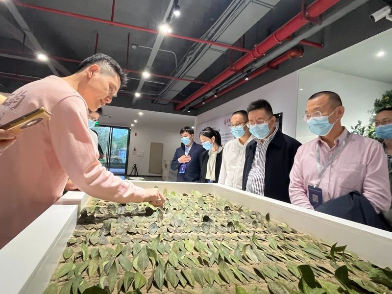 关于金融活水“沏”香茗，与会嘉宾为茶产业发展谋良策的内容(1)