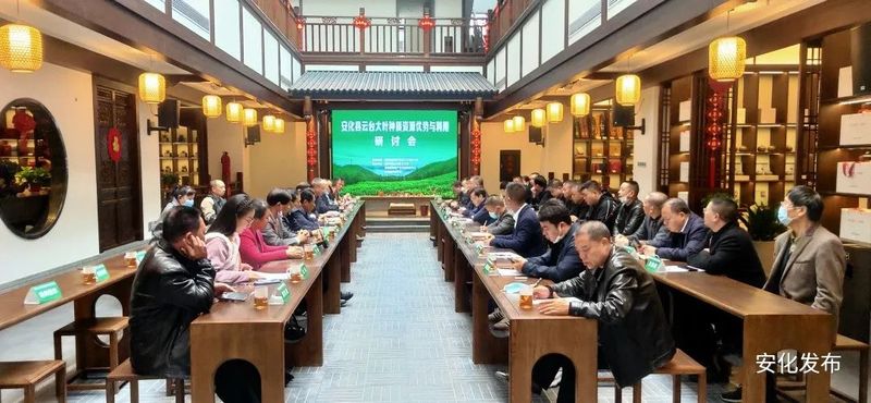 关于安化县云台大叶种茶质资源优势与利用研讨会召开的内容