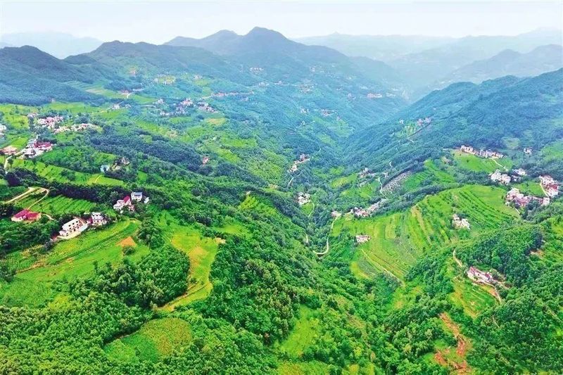 关于安康市两地入选全省乡村振兴教育培训现场教学基地名单的内容(1)