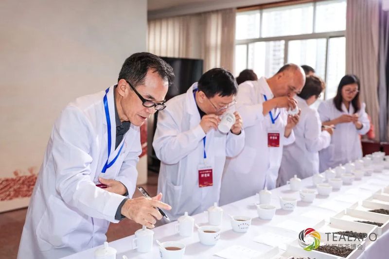 关于佳茗争霸 茶王诞生!2022 广西六堡茶茶王争霸赛评比结果出炉的内容(8)