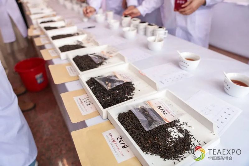 关于佳茗争霸 茶王诞生!2022 广西六堡茶茶王争霸赛评比结果出炉的内容(5)