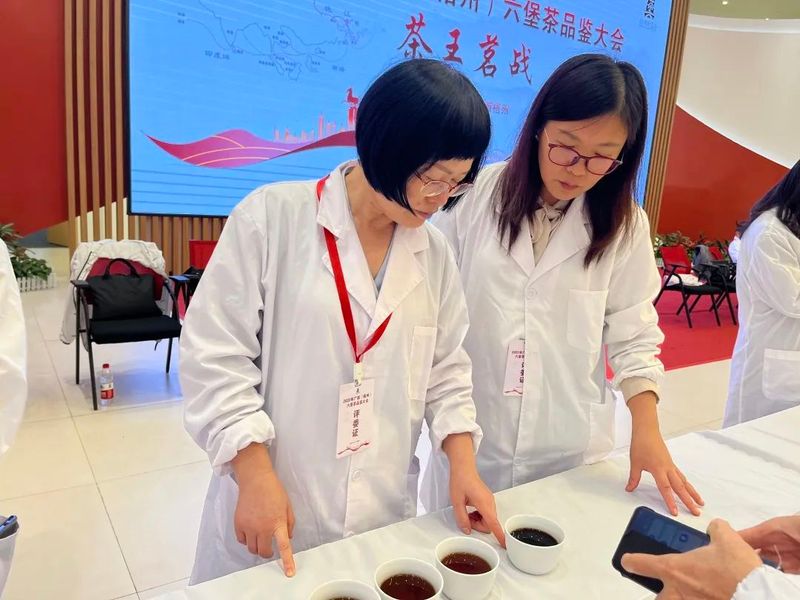 有关于一品六堡 天下梧茶 2022年广西(梧州)六堡茶品鉴大会开幕的最新消息(2)