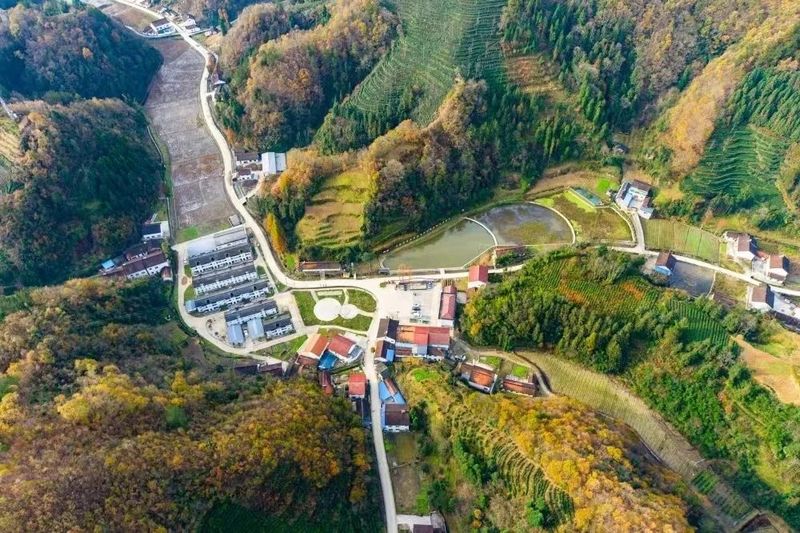 关于汉中第二批生态茶园风采——勉县篇的内容(14)