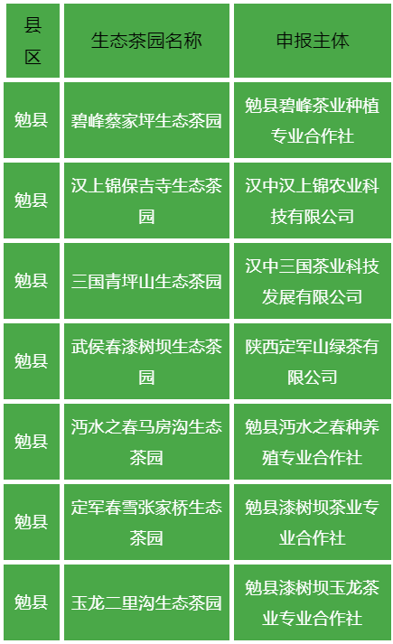 关于汉中第二批生态茶园风采——勉县篇的内容