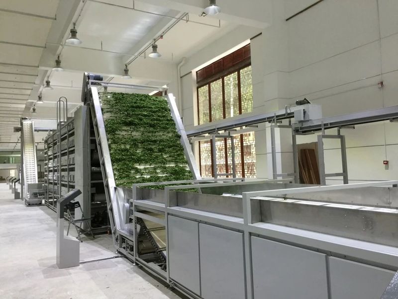 关于 我国茶业装备数字化现状及路径分析的最新消息