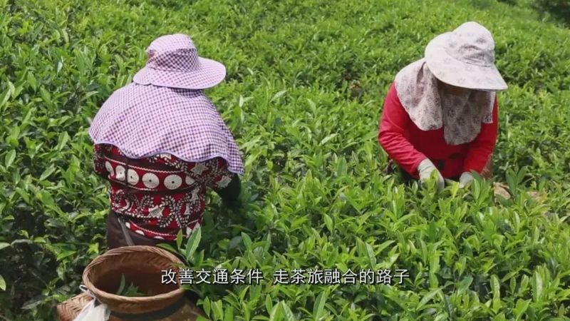 有关于漳平南洋梧溪：做好做活“茶”文章 拓宽长远致富路的相关内容(1)
