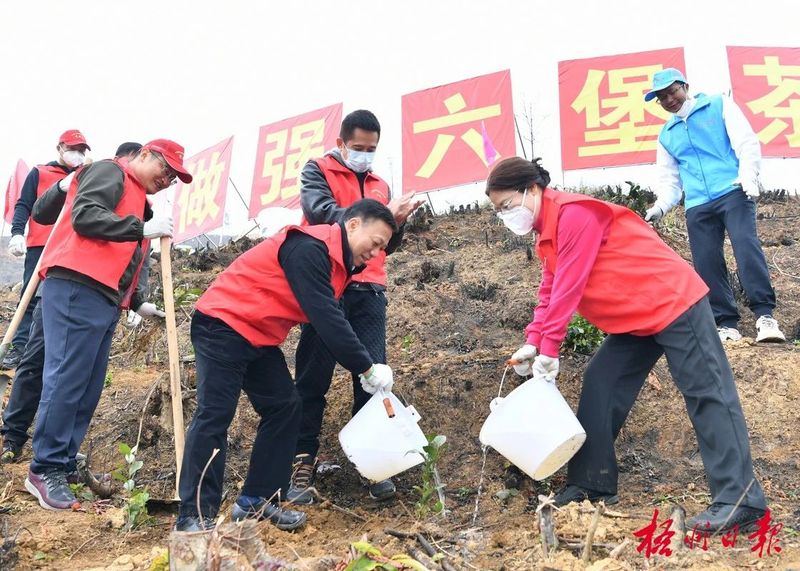 关于梧州市举行2022—2023年冬春生态茶园建设启动仪式暨黑石山茶文旅综合体项目开工仪式的资讯(1)