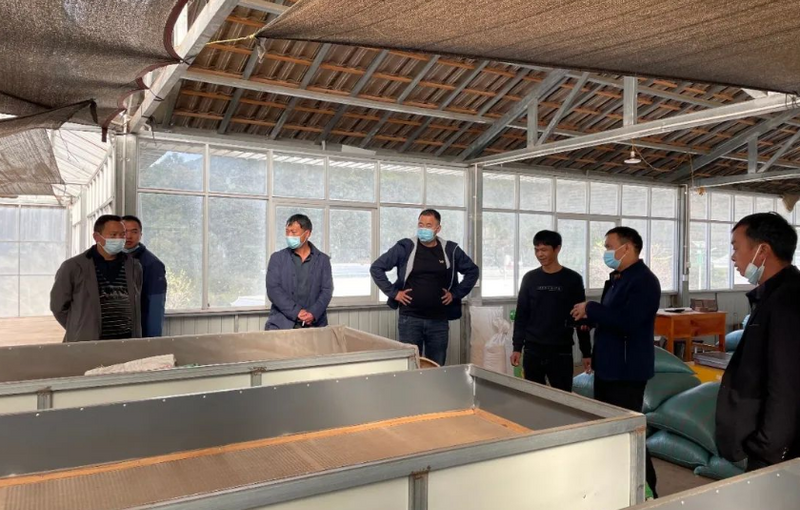 有关于龙江乡邦明村：聚焦茶产业，助力乡村振兴的相关信息(5)
