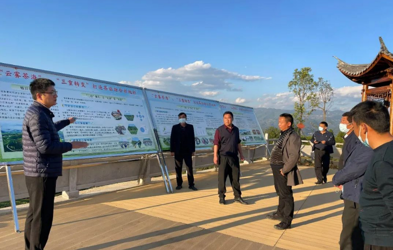 有关于龙江乡邦明村：聚焦茶产业，助力乡村振兴的相关信息(3)