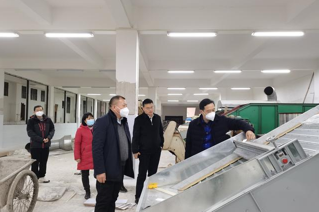 有关于自治区农业农村厅领导到广西茶叶科学研究所调研的内容