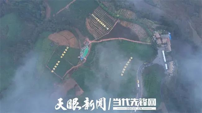 关于“贵州绿茶”第一采，普安做足“早”茶文章的相关信息(5)