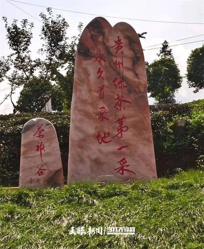 关于“贵州绿茶”第一采，普安做足“早”茶文章的相关信息(6)