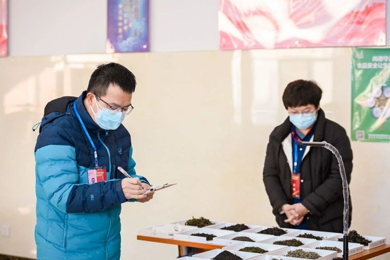 关于茶业高质量人才如何发掘培养？这场高规格大赛给出了答案！的内容(10)
