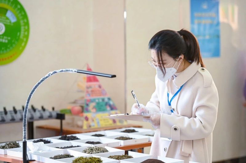 关于茶业高质量人才如何发掘培养？这场高规格大赛给出了答案！的内容(9)