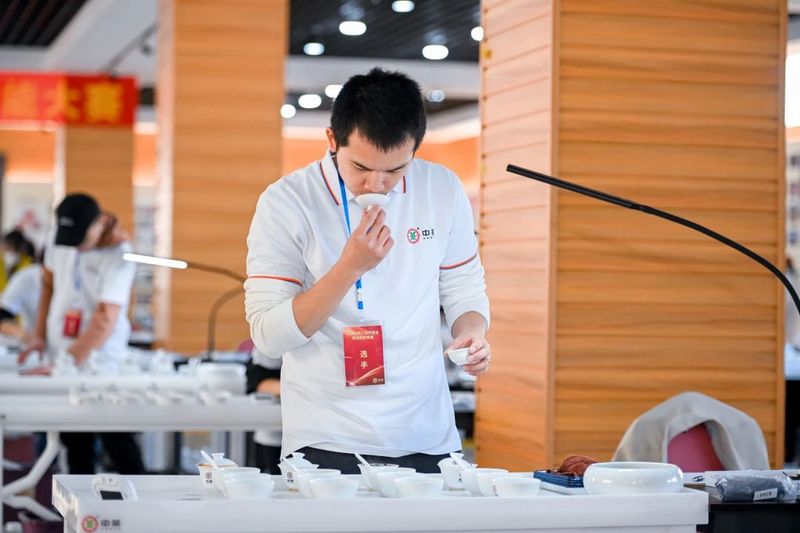 关于茶业高质量人才如何发掘培养？这场高规格大赛给出了答案！的内容(12)