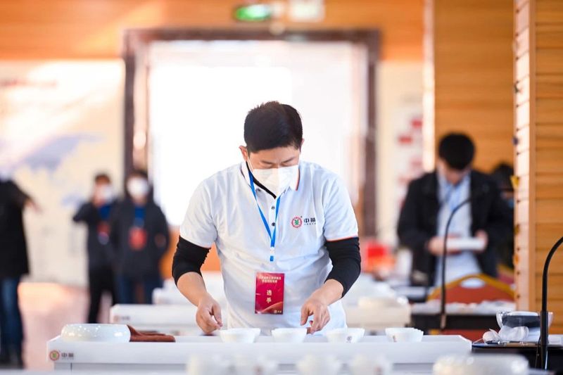关于茶业高质量人才如何发掘培养？这场高规格大赛给出了答案！的内容(11)