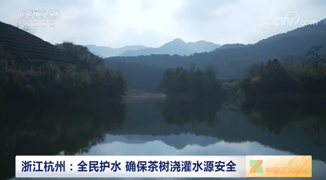 有关于浙江杭州：全民护水 确保茶树浇灌水源安全的最新消息(1)