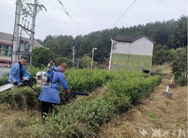 有关于恩施红土乡：茶园冬管不停歇的最新消息