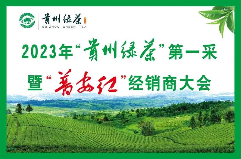 有关于普安:精心管护茶园迎“贵州绿茶”第一采的相关信息