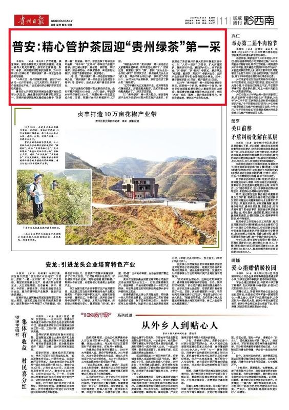 有关于普安:精心管护茶园迎“贵州绿茶”第一采的相关信息(1)