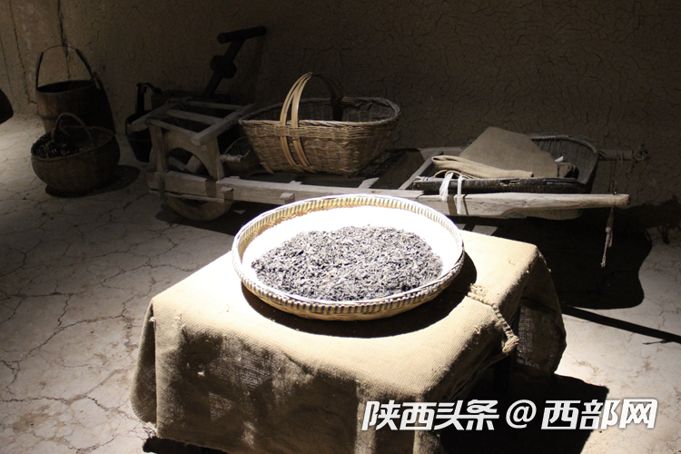 有关于一叶富一业 茯茶小镇茶正飘香的内容(2)