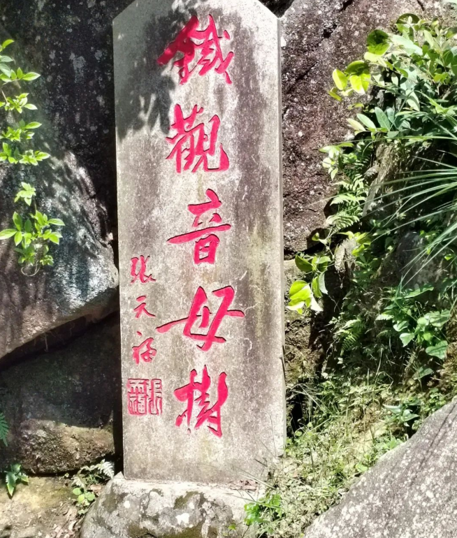 有关于一片茶叶 从安溪走向世界的最新消息(1)