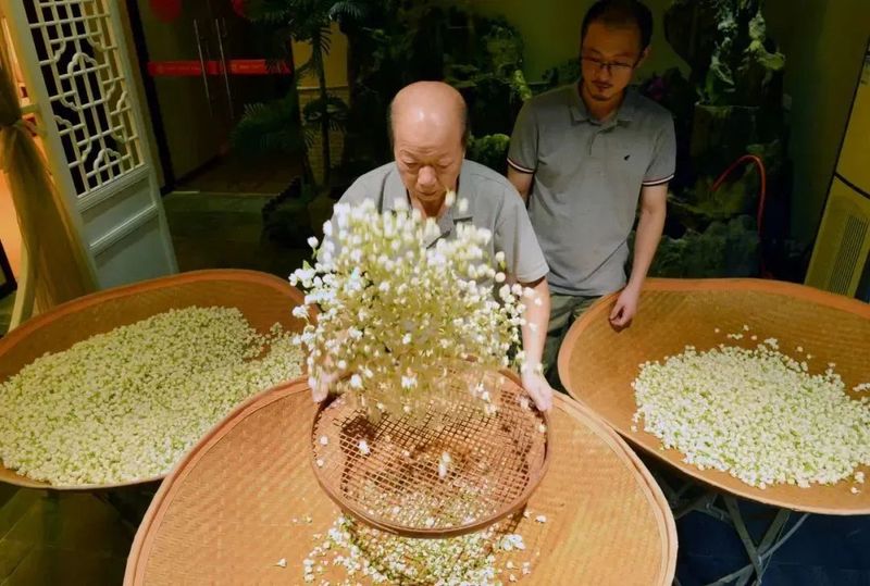 有关于2023年关税调整方案公布,白茶、茉莉花茶获单独海关税则号的内容(2)