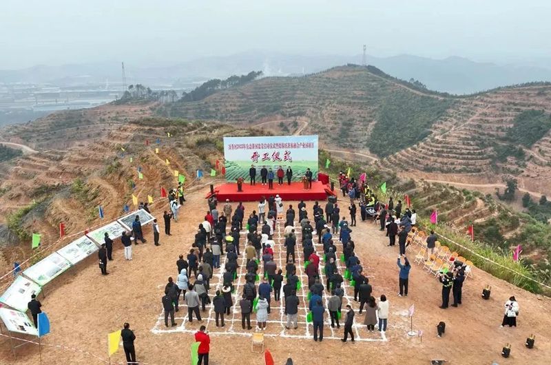 关于促进六堡茶产业融合高质量发展，万秀区启动2023年生态茶园建设的信息