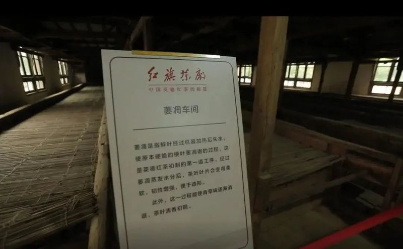 关于爱喝茶,更会种茶 岭南两兄弟喊你进来饮茶→的信息(26)
