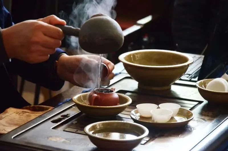 关于爱喝茶,更会种茶 岭南两兄弟喊你进来饮茶→的信息(19)
