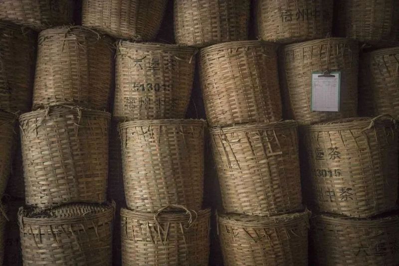 关于爱喝茶,更会种茶 岭南两兄弟喊你进来饮茶→的信息(7)