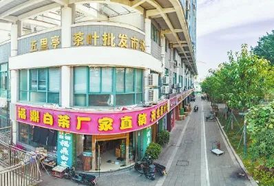 关于首届茶交会缘何“花落”福州?的消息(1)