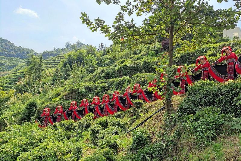 有关于2022年岳阳茶业十件大事的资讯(8)