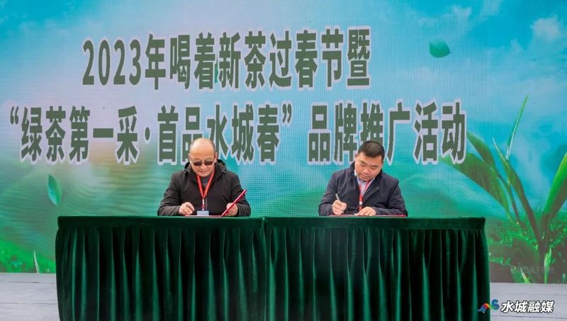 关于2023年“水城春”早春茶开采,喝着新茶迎春来的资讯(1)