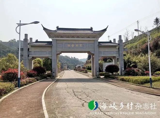 关于福安坦洋村:振兴茶产业 争当“领头羊”的相关内容(3)