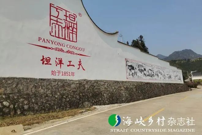 关于福安坦洋村:振兴茶产业 争当“领头羊”的相关内容(12)