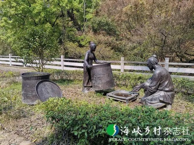 关于福安坦洋村:振兴茶产业 争当“领头羊”的相关内容(10)