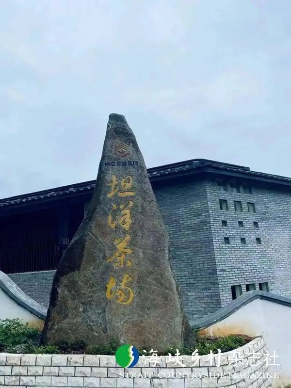 关于福安坦洋村:振兴茶产业 争当“领头羊”的相关内容(6)