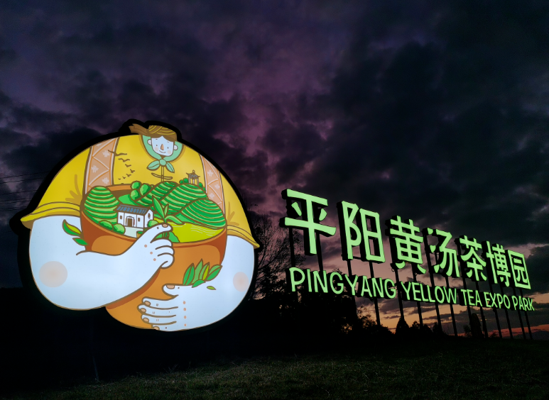 关于温州平阳:高校助力 茶文旅赋能引领少数民族村“破圈出道”的相关内容(3)