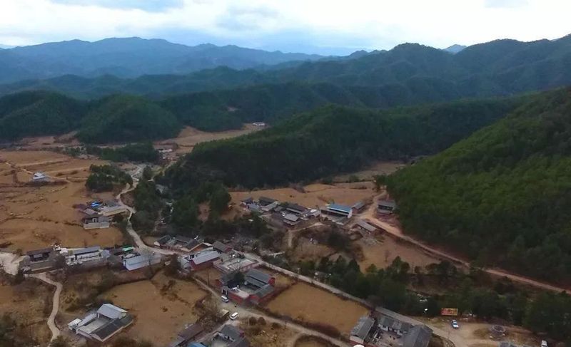 有关于广西标准化协会组织专家审定《六堡茶清洁化生产技术规范》等3项团体标准的信息