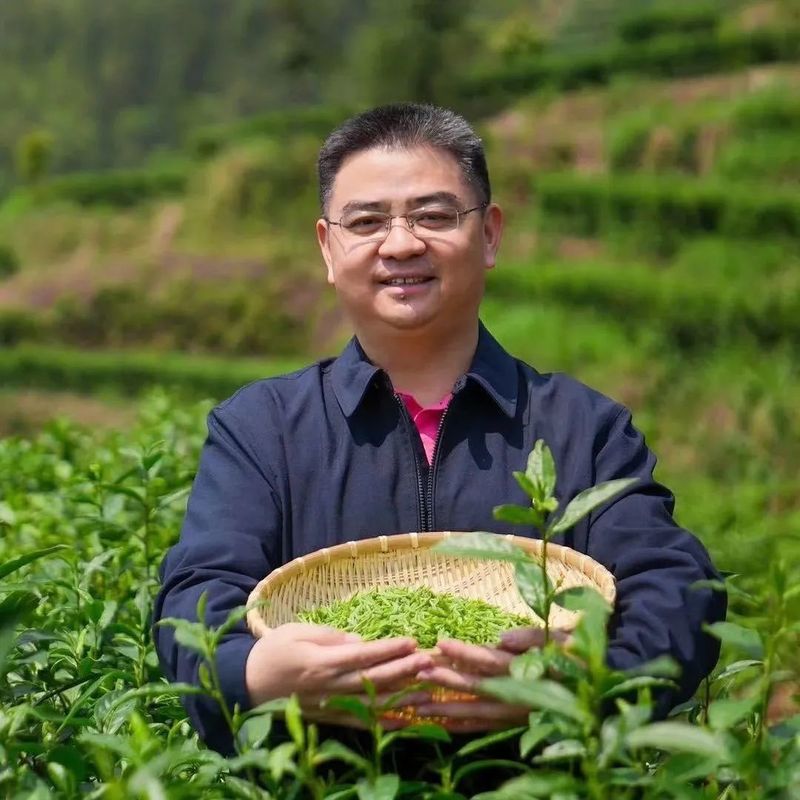 关于羊楼洞的资讯