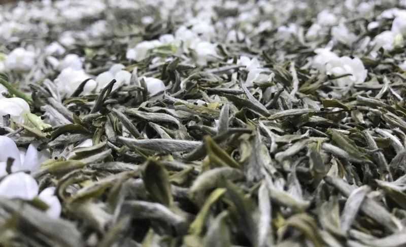 有关于“中国传统制茶技艺及其相关习俗”(北京、河南、陕西)的最新消息(4)