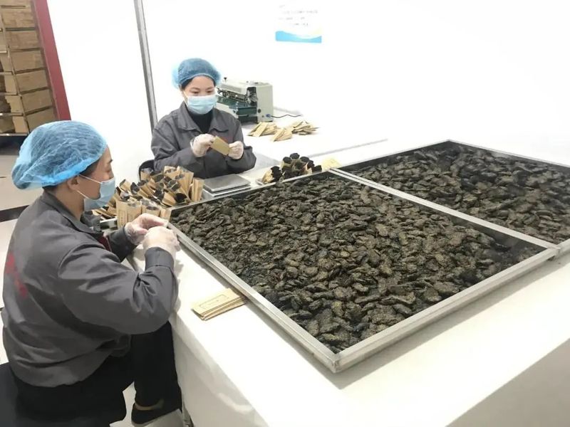 有关于“中国传统制茶技艺及其相关习俗”(北京、河南、陕西)的最新消息(7)