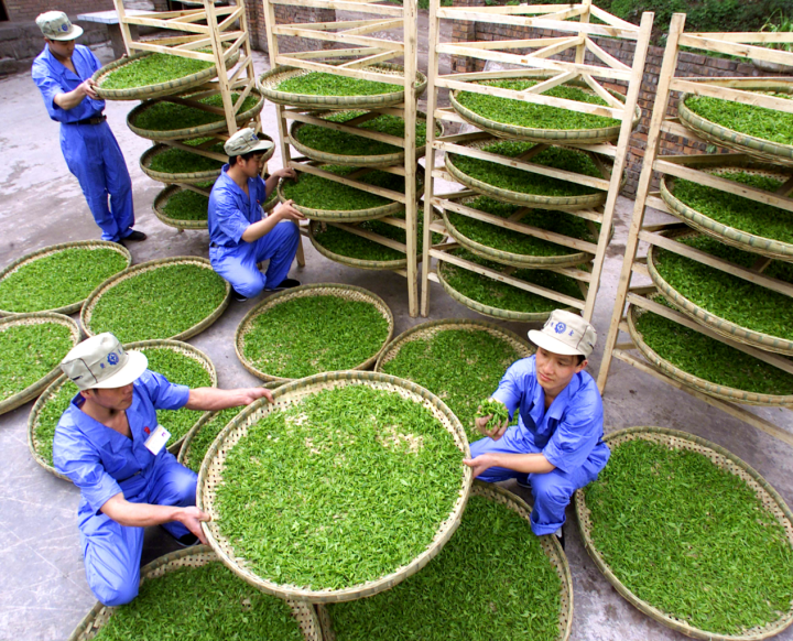 关于剑指两千亿元 川茶要用十年时间实现综合产值翻番的信息(1)