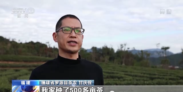 关于2022年我国茶叶总产值预计首超3000亿元的最新消息