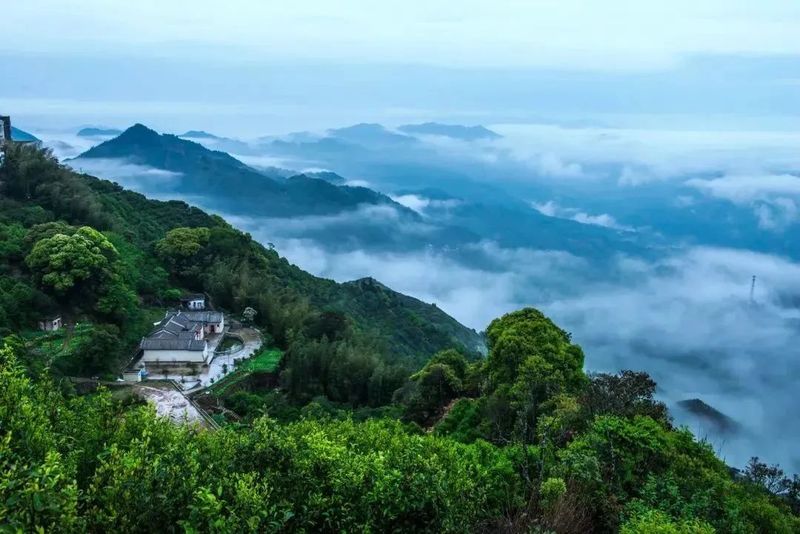 关于第十八届文博会开幕在即！来现场开启茶文化之旅吧！的相关信息(8)